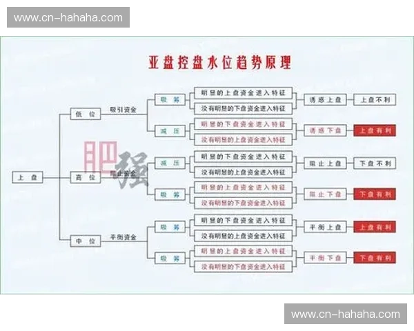 揭秘“亚盘水位变化”：让你秒懂盘口背后的秘密